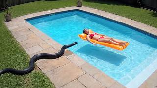 Terrifying Snake Encounters Caught on Camera MQDEFAULT Thumbnail
