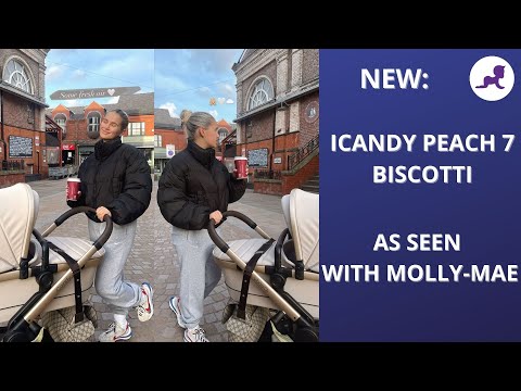 NEW Biscotti iCandy Peach 7!