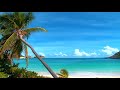 Mexico A Go Go  Michelle Malone  [Official Video] (Beach Mix)