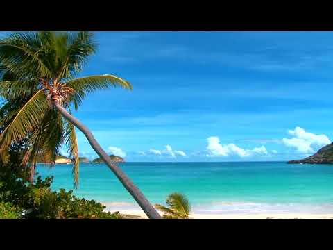 Mexico A Go-Go video thumbnail