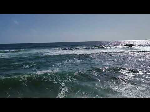 Sri Lankan Beach, Kollupitiya