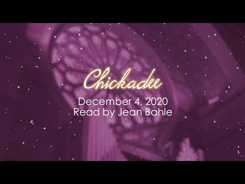 December 4: Chickadee