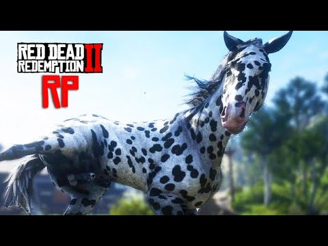 Red Dead RP - Taming horses to earn money.