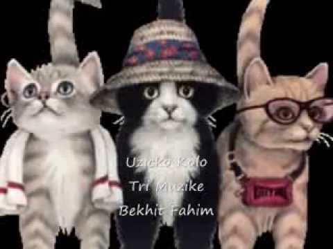 Cats-Uzicko Kolo- Tri Muzike- Bekhit Fahim