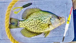 Twitching Bobbers for Spring Crappie! - Crappie Fishing Tips!