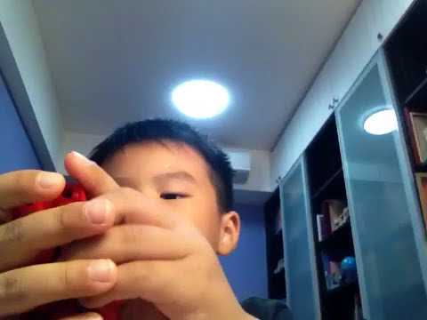 柯博文合體金剛介紹