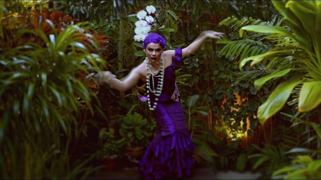 Potyguara Bardo - You don't exist