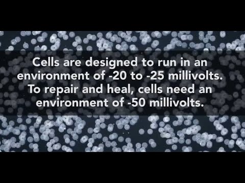 Dr  Mercola and Dr  Tennant Discuss the Role of Bioelectricity in Optimal Health