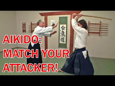 V5 - In Aikido we match and join with what our attacker is doing!  "Awase"