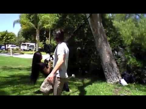 Tina Guo Behind the Scenes - TRX