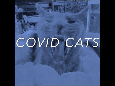 COVID Cats Trailer #1