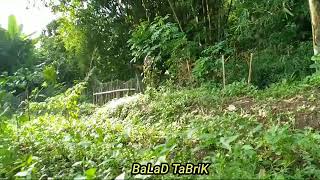 Download lagu HIRUP IBARAT WAYANG USIK MALIK NA KUDALANG mp3