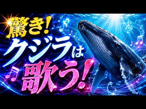 クジラの歌の謎｜海底に響く複雑なメロディはなぜ生まれたのか