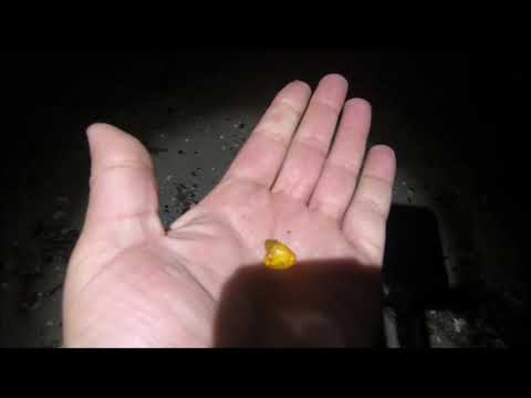 Bernsteinsuche mit der UV Lampe Ravlygte an der Ostsee in Prerow 2019