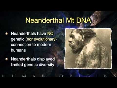 The Great Debate: Creation, Evolution, or Both?