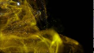 Download lagu Golden Glitter sparkling background video | golden particles background hd | Royalty Free Footage mp3 Download lagu Golden Glitter sparkling background video | golden particles background hd | Royalty Free Footage mp3
