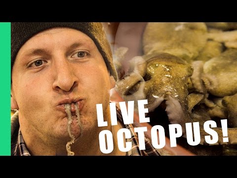 Would you eat a live octopus? - South Korea