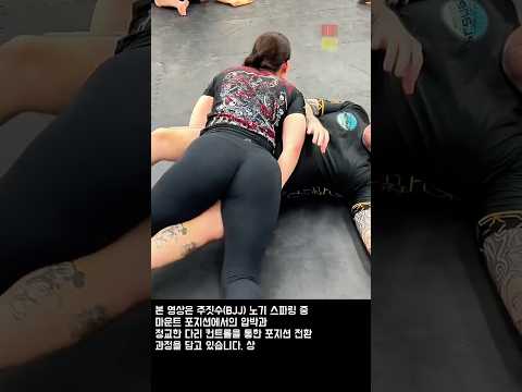 상대를 완벽하게 제어하는 주짓수 마운트 테크닉 #worker #process #defense #skills #workout