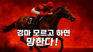 경마모르고하면망한다 #경마정보