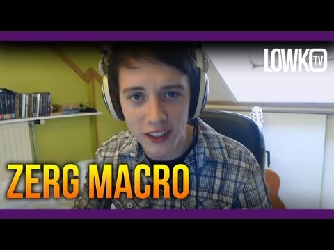 How to practise Zerg Macro vs Protoss - StarCraft II Study