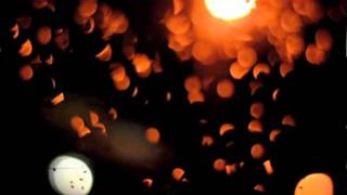 Shannon Wright - Louise