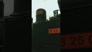 Download lagu lokomotif uap bahan bakar kayu jati #short #videoshorts mp3