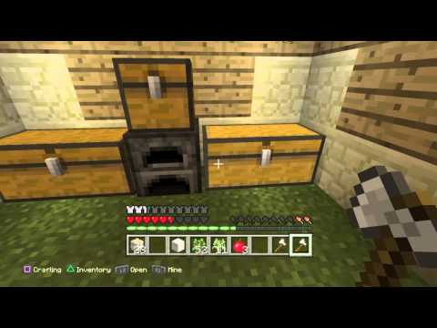 Minecraft: Store Room