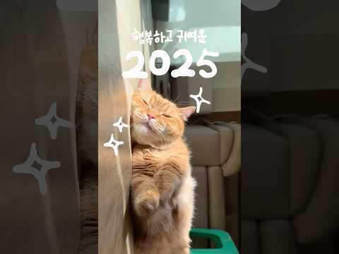 대형사건 발생.. 10초 전