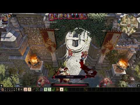 Divinity Original Sin 2 No damage Challenge (Including Allies) Part 9 Griff & Dallis
