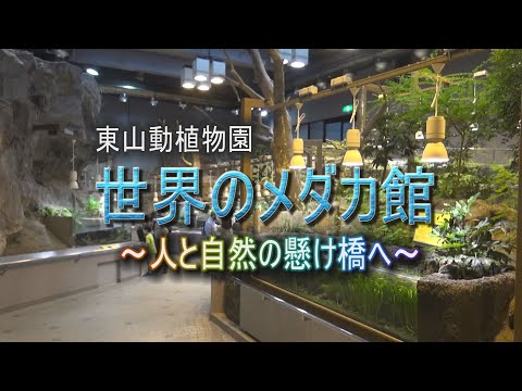 【映像記録】東山動植物園・世界のメダカ館～人と自然の懸け橋へ～