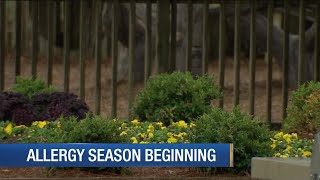 Allergy season beginning