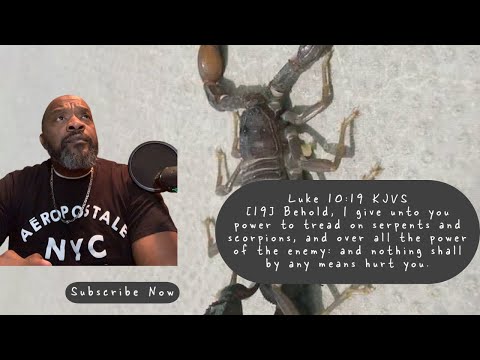 Exposing The Scorpion Spirit?// Eli Laskey// #freedom #holyspirit #jesus #rhemaword