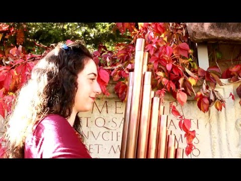 Alleluya PEROTIN - Cristina Alís Raurich, portative organ