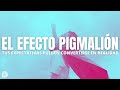 ¿Qué es el efecto Pigmalión? ¿Qué es el efecto Pigmalión?