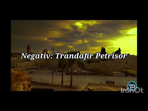 negativ ton fata -vindeca și a mea îndoială 2023