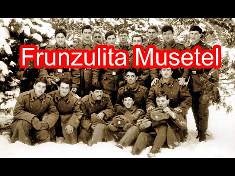 FRUNZULITA MUSETEL, un cantec pe care  l-am cantat in armata. Foto din  colectia personala  anii 80.