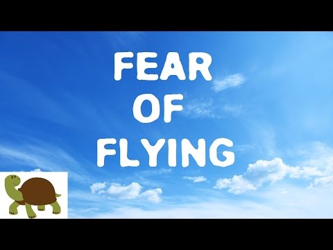 我才不要搭飛機！害怕搭飛機的你也是這樣嗎？ (Fear of Flying)