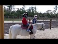 Tri-Circle-D Ranch & Pony Ride at Disney's Fort Wilderness Resort & Campground - Walt Disney World