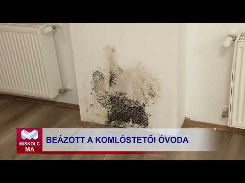 Videó előnézet