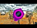 Maattupetti Koyilile Bass Boosted Mayilattam Malayalam Song