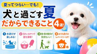 夏だからこそ楽しめる！犬との暮らしがもっと楽しくなる4つのこと【見やすく改良】