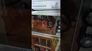 ぶっ壊れる前の電子レンジ #Shorts