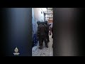 Nasilje U Ekvadoru U Neredima Ubijeni Deseci Zatvorenika