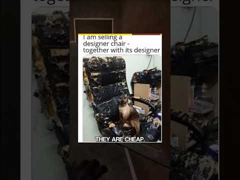 you laugh you lose 🎁 r/AnimalsBeingJerks