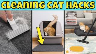 10 Game-Changing Cat Hacks for a Clean Home