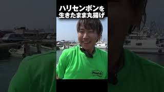 ハリセンボンを生きたまま油で揚げてみたら…