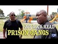 Oaks Park Businessman Joe Rock Head on Prison Gangs Fights and Violence Part 2