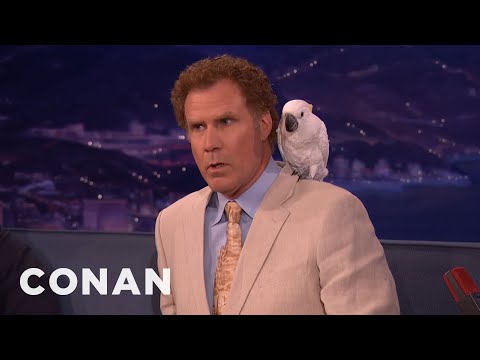 YouTube video about: Will ferrell bird collection?