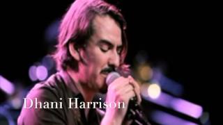 Dhani Harrison - SAVOY TRUFFLE COVER Beatles HD