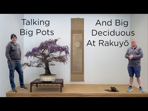 Bonsaify | A Springtime Visit to Rakuyō Bonsai with Andrew Robson